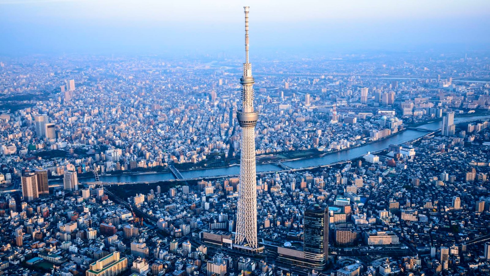 Tokyo  One-Day Tour  (City area + Mount Fuji + Yokohama + surrounding Tokyo areas)